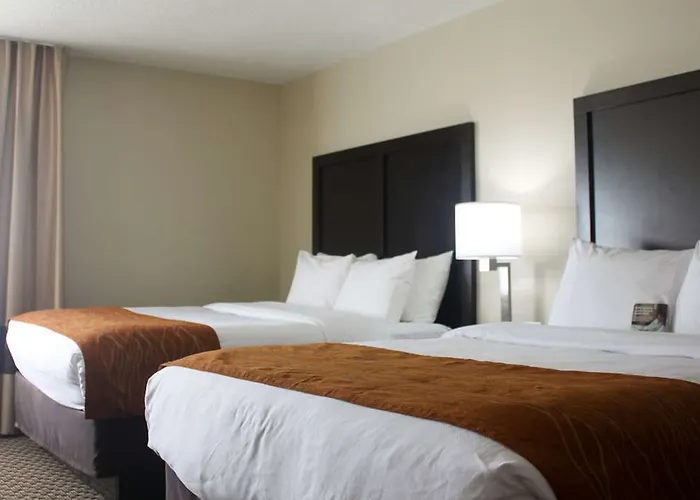 Spark By Hilton Chicago I 57
